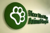 Office Signs 3d, Art Signs condo design office corporate sign for animal clinic, office wall, wall decor